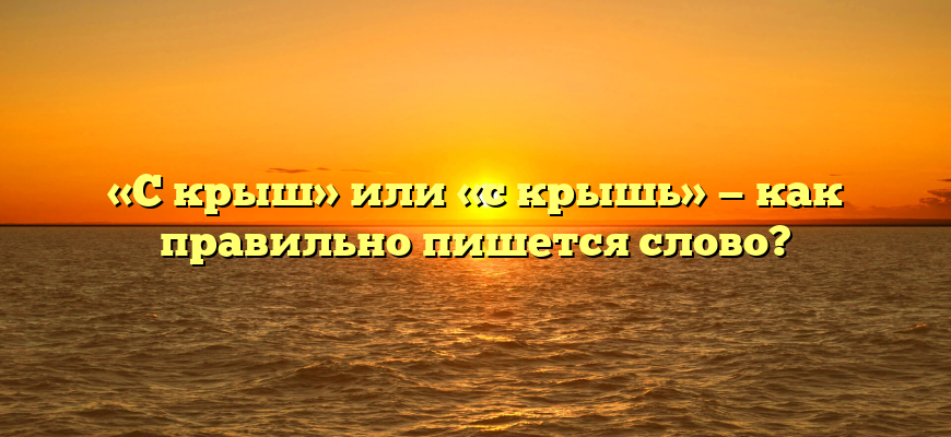 «С крыш» или «с крышь» — как правильно пишется слово?