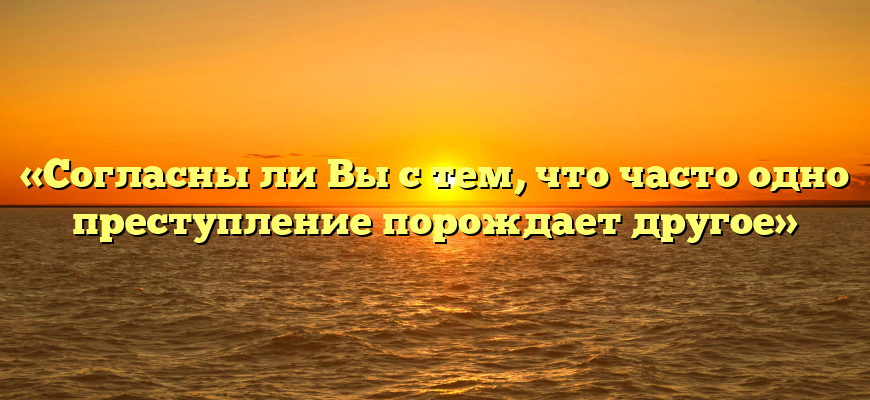 «Согласны ли Вы с тем, что часто одно преступление порождает другое»