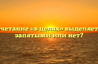 Сочетание «в целях» выделяется запятыми или нет?