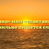 «Спонтанно» или «спантанно» — как правильно пишется слово?