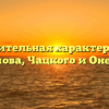«Сравнительная характеристика Обломова, Чацкого и Онегина»