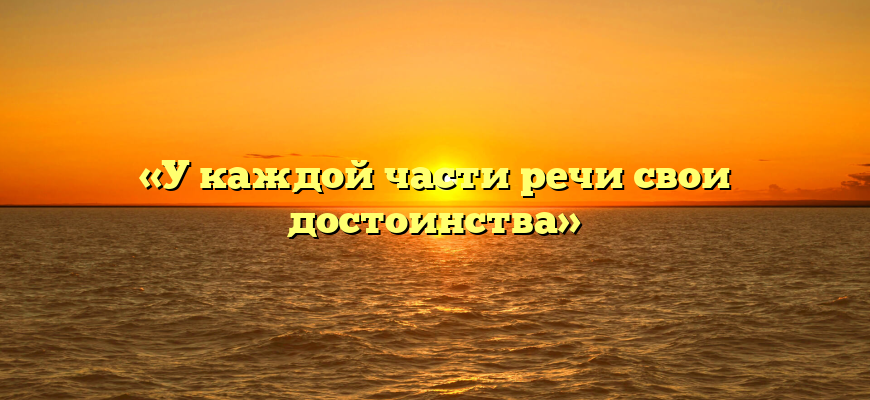 «У каждой части речи свои достоинства»