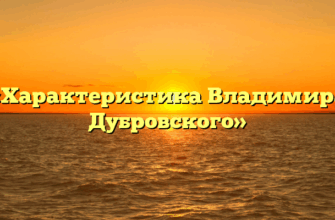 «Характеристика Владимира Дубровского»
