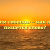 «Хвощ» или «хвощь» — как правильно пишется слово?