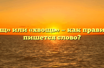 «Хвощ» или «хвощь» — как правильно пишется слово?