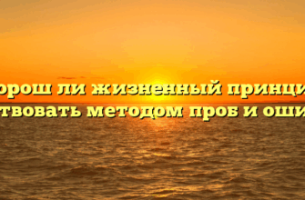 «Хорош ли жизненный принцип – действовать методом проб и ошибок»