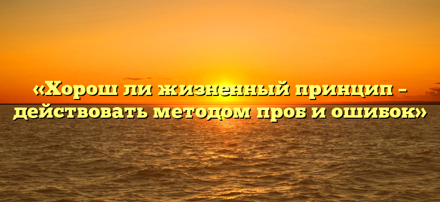 «Хорош ли жизненный принцип – действовать методом проб и ошибок»