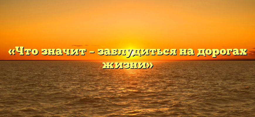 «Что значит – заблудиться на дорогах жизни»