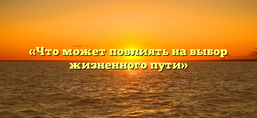 «Что может повлиять на выбор жизненного пути»