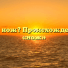 Что такое нож? Происхождение слова «нож»