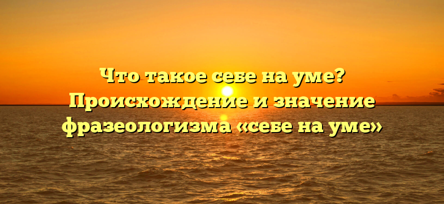 Что такое себе на уме? Происхождение и значение фразеологизма «себе на уме»
