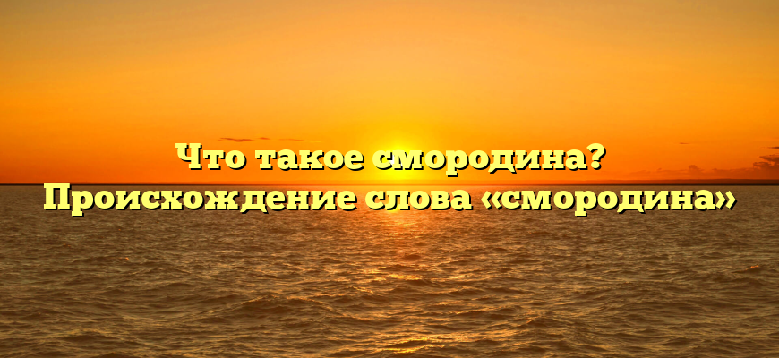 Что такое смородина? Происхождение слова «смородина»