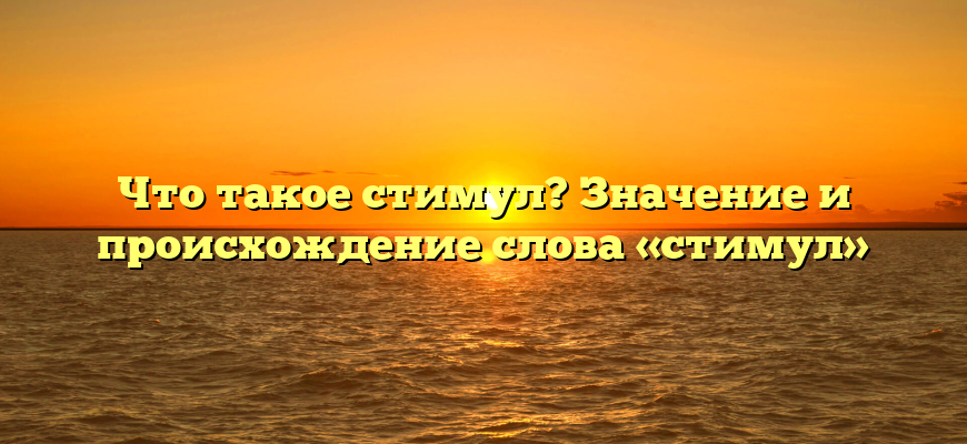 Что такое стимул? Значение и происхождение слова «стимул»