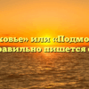 «подмосковье» или «Подмосковье» — как правильно пишется слово?