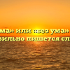 «Безума» или «без ума» — как правильно пишется слово?