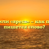 «Брешь» или «бреш» — как правильно пишется слово?
