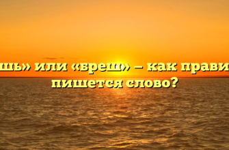 «Брешь» или «бреш» — как правильно пишется слово?