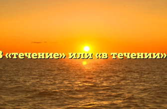 В «течение» или «в течении»?