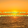 «Вебинар», «вибинар» или «вэбинар» — как правильно пишется слово?