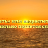 «Взрослеть» или «взраслеть» — как правильно пишется слово?