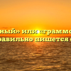 «Грамотный» или «граммотный» — как правильно пишется слово?