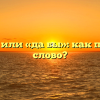 «Дабы» или «да бы»: как пишется слово?