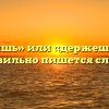 «Держишь» или «держешь» — как правильно пишется слово?