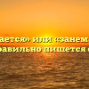 «Занимается» или «занемается» — как правильно пишется слово?