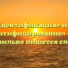 «Идентификация» или «идентифицирование» — как правильно пишется слово?