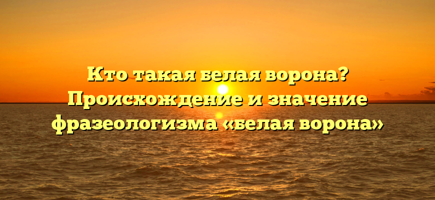 Кто такая белая ворона? Происхождение и значение фразеологизма «белая ворона»