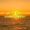 Кто такой орёл? Происхождение слова «орёл»
