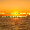 «Лож» или «ложь» — как правильно пишется слово?