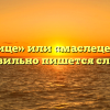 «Маслице» или «маслеце» — как правильно пишется слово?
