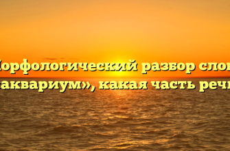 Морфологический разбор слова «аквариум», какая часть речи