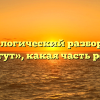 Морфологический разбор слова «бегут», какая часть речи