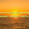 Морфологический разбор слова «бешеная», какая часть речи