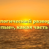 Морфологический разбор слова «веселые», какая часть речи
