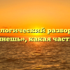 Морфологический разбор слова «взглянешь», какая часть речи