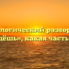 Морфологический разбор слова «войдёшь», какая часть речи