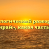 Морфологический разбор слова «выбирай», какая часть речи