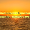 Морфологический разбор слова «делавший», какая часть речи