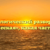 Морфологический разбор слова «дружеская», какая часть речи