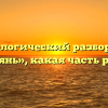 Морфологический разбор слова «дрянь», какая часть речи