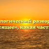 Морфологический разбор слова «зависящее», какая часть речи
