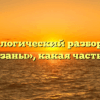 Морфологический разбор слова «заказаны», какая часть речи