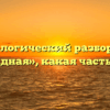 Морфологический разбор слова «западная», какая часть речи