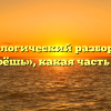 Морфологический разбор слова «запоёшь», какая часть речи