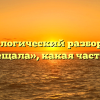 Морфологический разбор слова «затрещала», какая часть речи