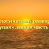 Морфологический разбор слова «искупал», какая часть речи
