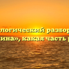 Морфологический разбор слова «истина», какая часть речи